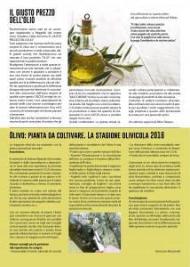 AICOO news_1_20162