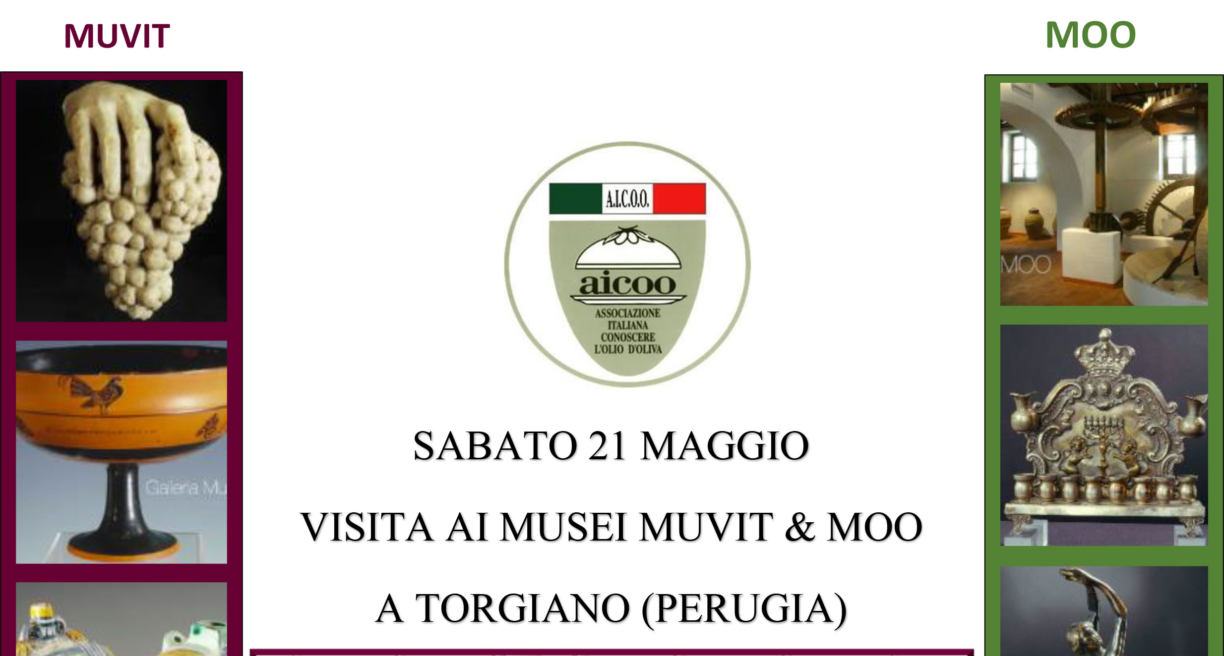 Visita ai Musei “MUVIT & MOO” a Torgiano (PG)