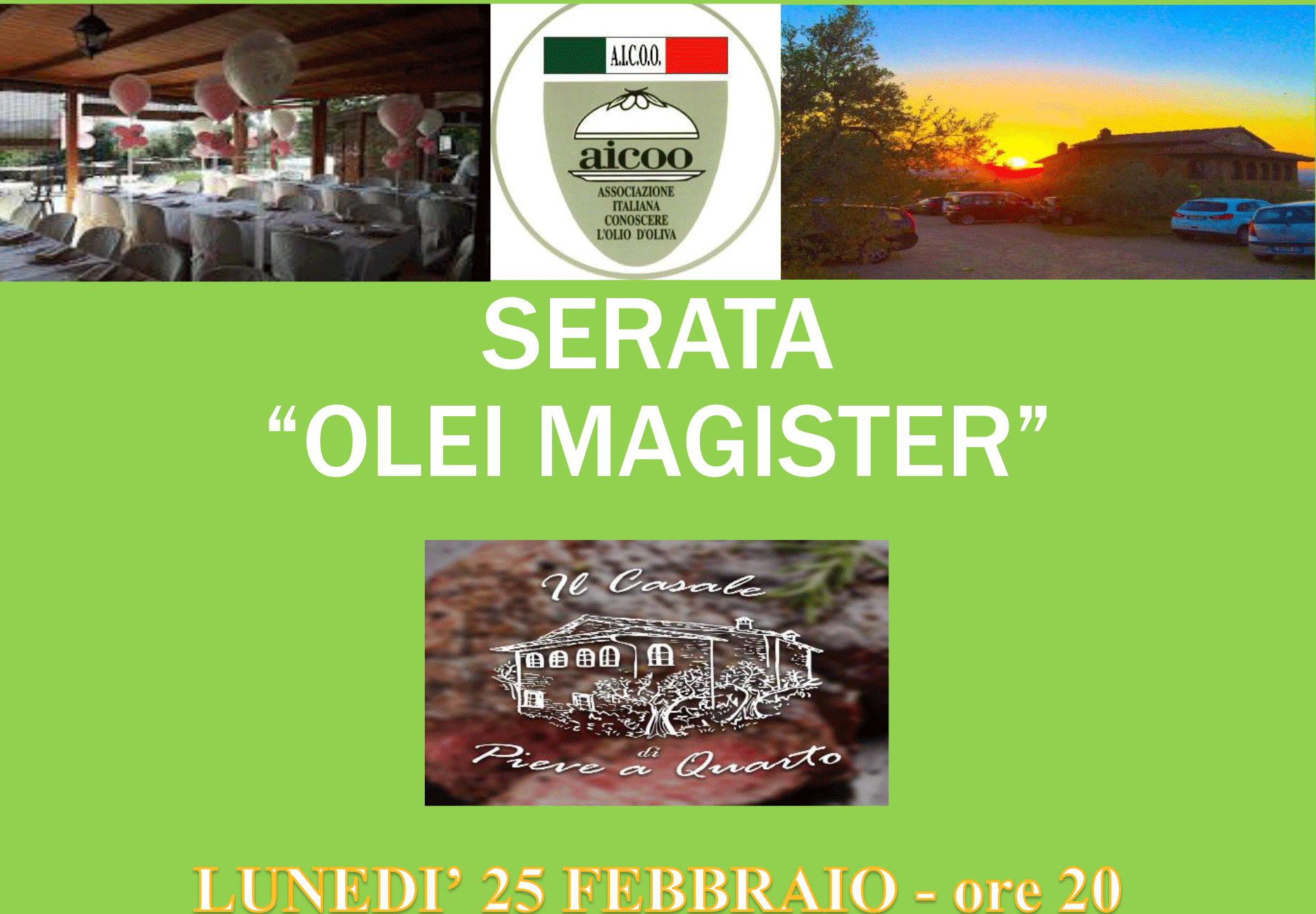 Serata Oli Magister