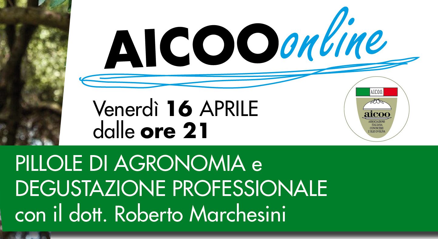 AICOO Online – 4° Incontro