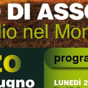 Assoliere – Corso di II livello – Maggio/giugno – arezzo