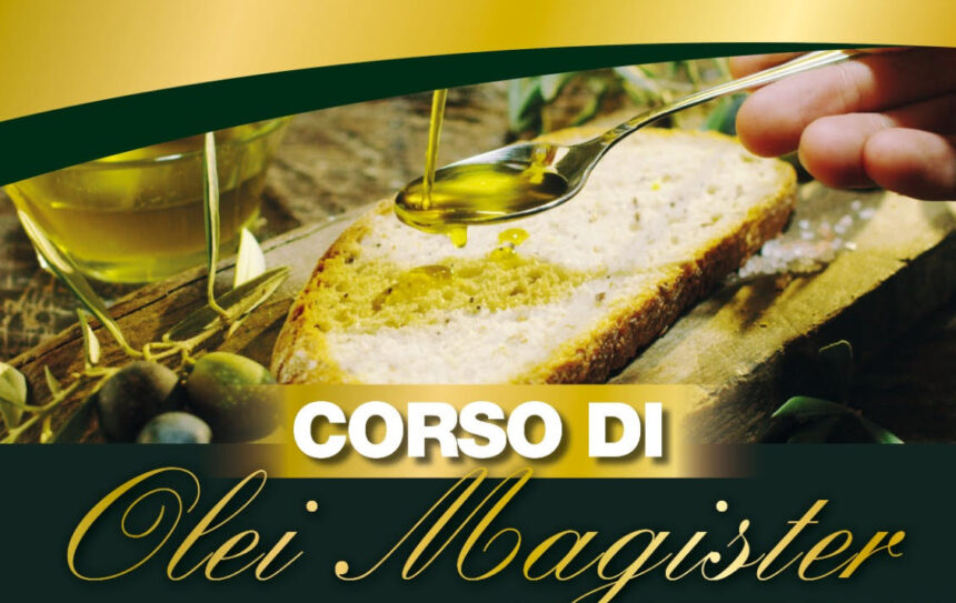Corso Olei MAGISTER – 3 Liv. – Arezzo – Gen.-feb.2024