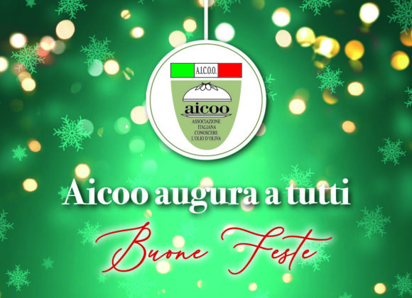AUGURI DI NATALE DA AICOO